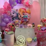 Leia mais sobre o artigo Sky e Everest Patrulha Canina Rosa – Trabalho de Bolas Com Arco Orgânico